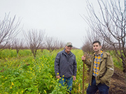 Two men standing in an agricultural field