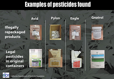 Examples of Pesticides Found