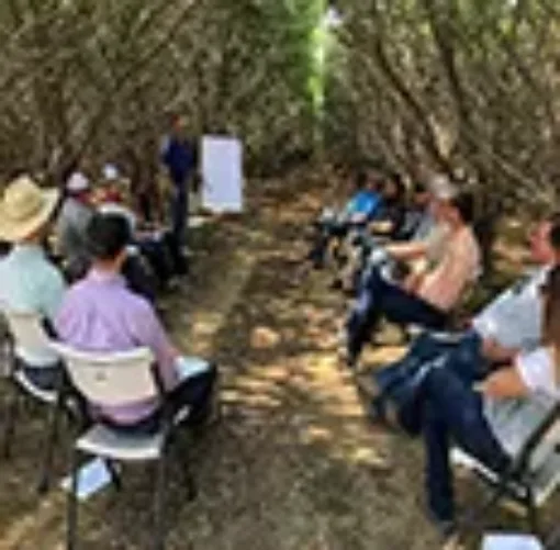 Group of people meeting in an orchard