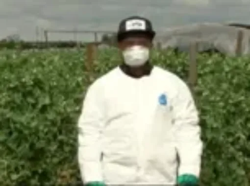 Photo of man dressed in personal protective clothing