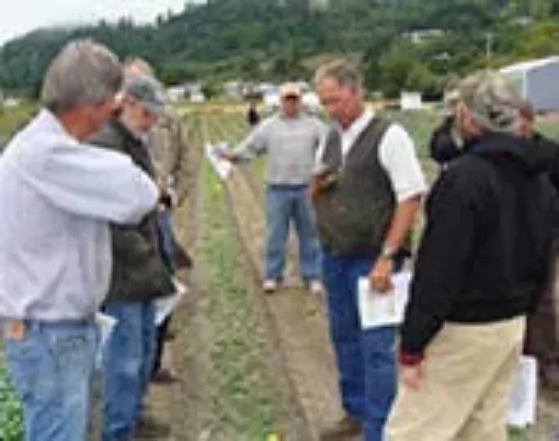 ELRF seeks way to reduce nematodes with less pesticides