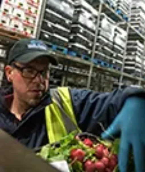 Man examining produce