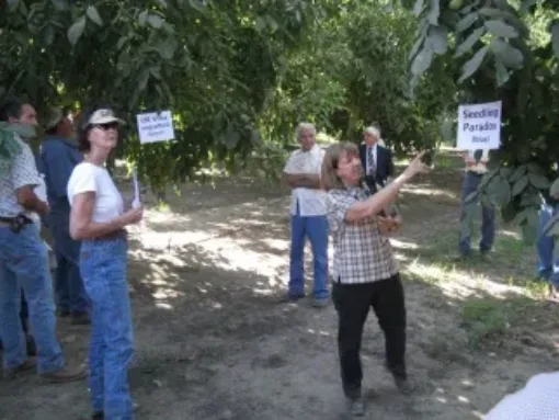 A group of people in an orchard