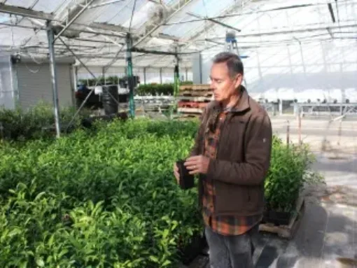 A man holding a plant